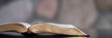Bible Study